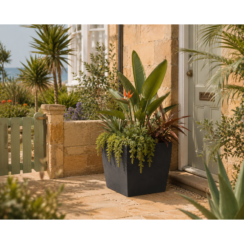 Daisy Square Stone Effect Planter Pot, Indoor and Outdoor Plant Pot, Frost Resistant with Drainage Hole, Black