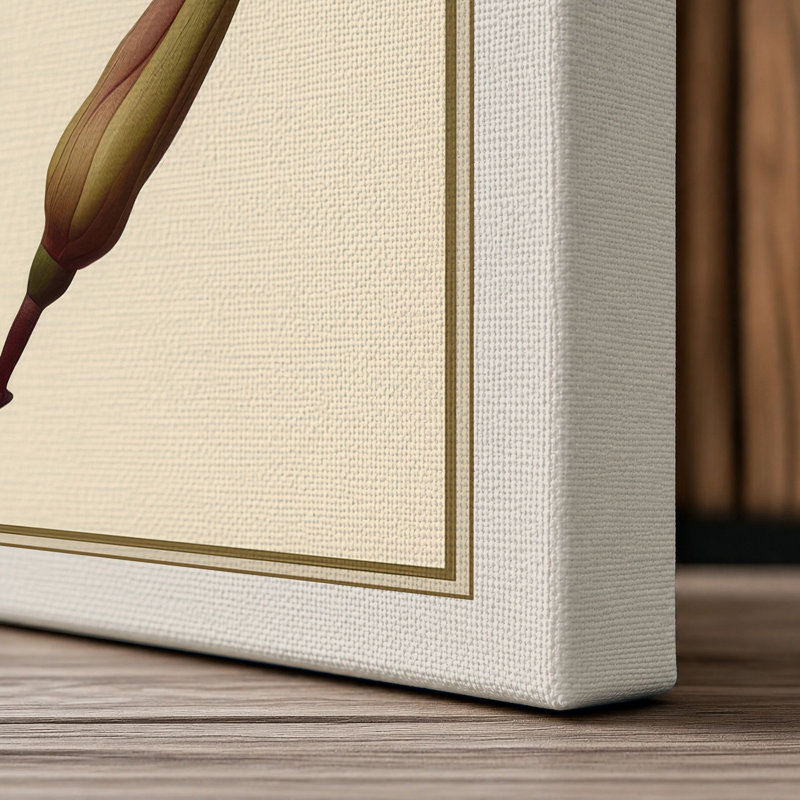 Magnolia Study Botanical - Wrapped Canvas, 30x20 - 76.2 x 50.8 cm, Cream Border