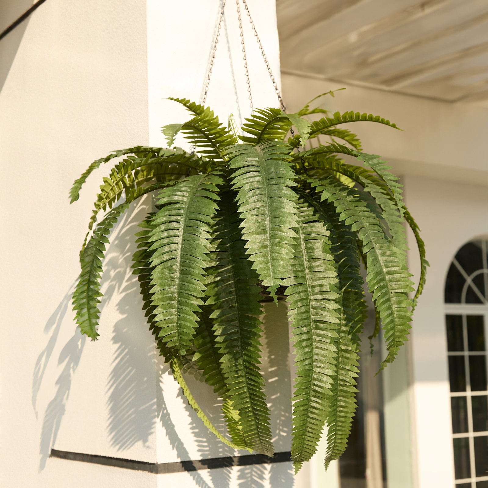 Adcock 30" Fern Plant in Basket, 2