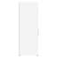 Ozrenka 60cm Sideboard-2028910807