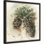 «Watercolor Pinecone Study No. 1» par Ethan Harper, reproduction d'art encadrée sur bois-1791842852-1791842850