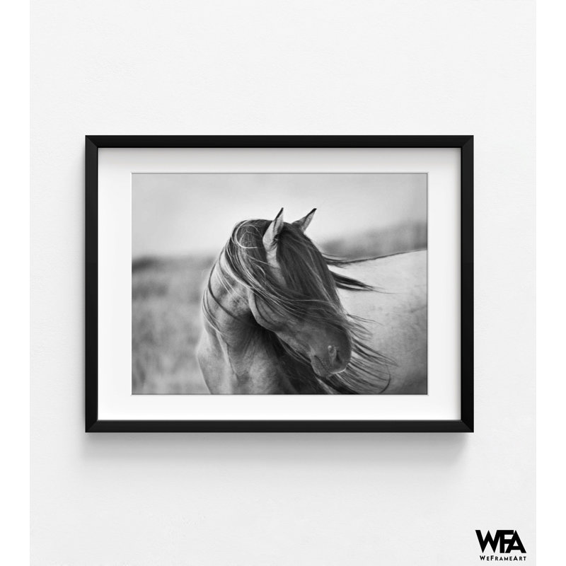 «Fierce Grace» par Tony Stromberg, noir et blanc, chambre d'amis équestre, Inspo, Cadre noir, Blanc, H 8 po x l 10 po