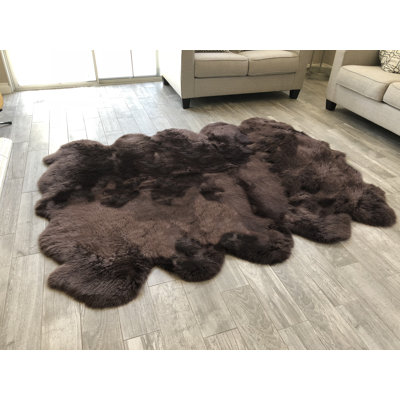 Tapis brun foncé Whisenhunt