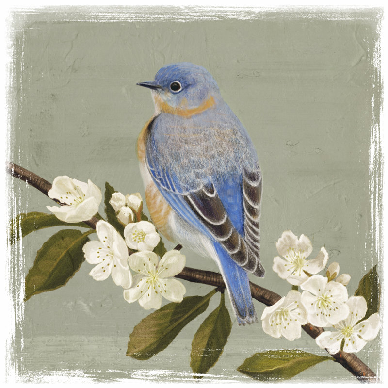 Bluebird Branch II, H 30 po x l 30 po x P 1,25 po