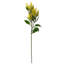Plastic, Silk Artificial Arrangement