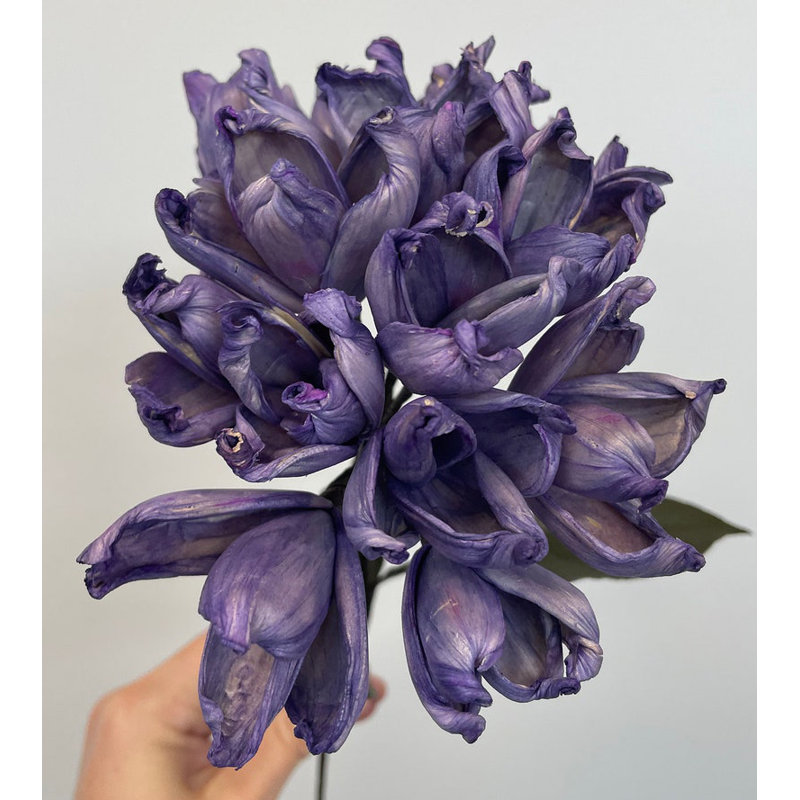 Silk Hydrangea Arrangement