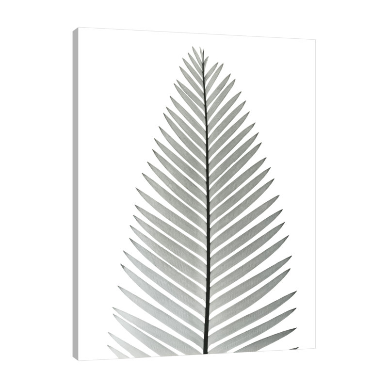 Tropical Fern II - Wrapped Canvas Print, 41 cm H x 30 cm W