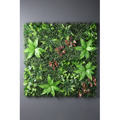 100x100cm Living Wall Panel - Mixed Foliage