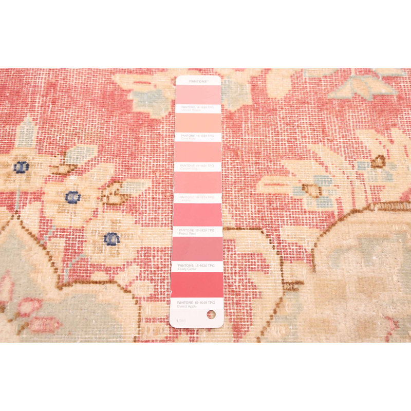 Tapis rouge Antalya 9 pi 5 po x 13 pi 9 po