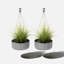 Pot à fleurs suspendu Mason Series Kona-57854939-57854940
