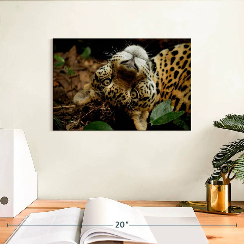Brampt Lovable Jaguar, 8" H x 12" W