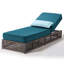 Chaise longue d'extérieur réglable en osier avec coussin Clybourn (ensemble de 4)-81346713