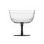 Glamorous Wine Glass