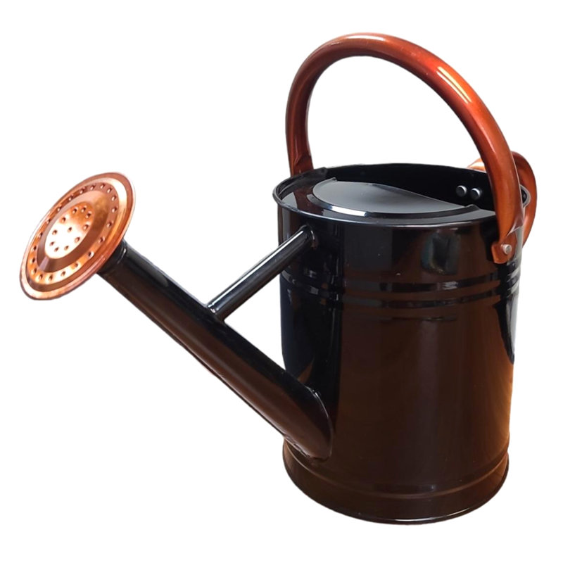 Outils de jardinage pour arrosoir Lexi Home, Noir