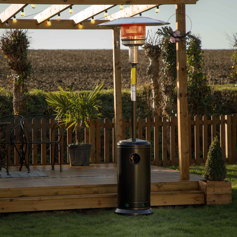 Antjedine Stainless Steel Propane Standing Patio Heater, Black