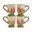 Harvest Morning 16 Pieces Dinnerware Set