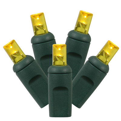 100 Commercial Grade LED Wide Angle Christmas Lights - Green Wire