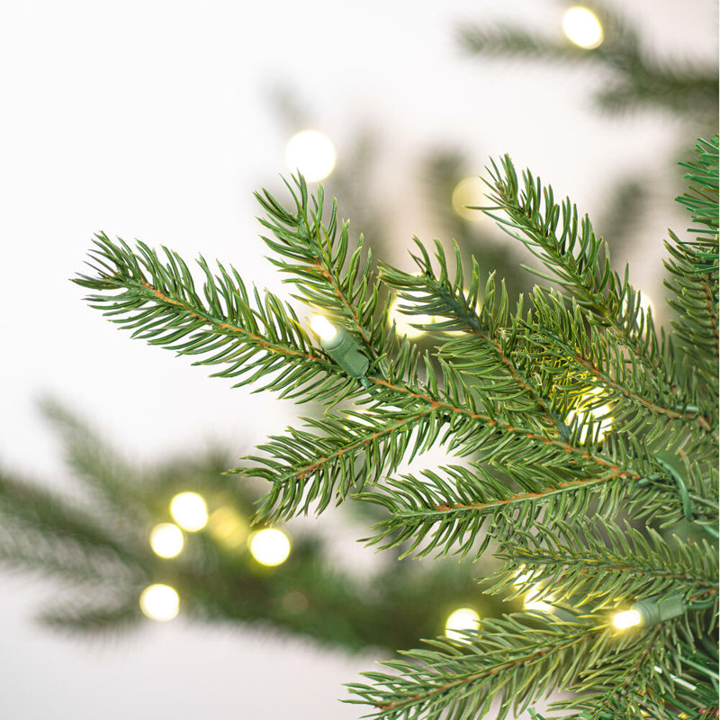 6.5' H Lighted Artificial Pine Christmas Tree