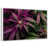 Floating Frame White