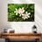 Harnek White Plumeria Flowers-107923940
