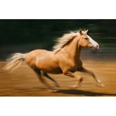 " Blazing Horse I "