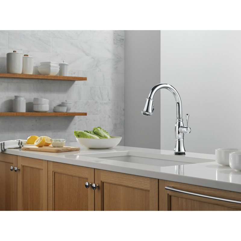 Delta Cassidy Touch2O Kitchen Sink Faucet with Touchless Technology, Lumicoat  Chrome