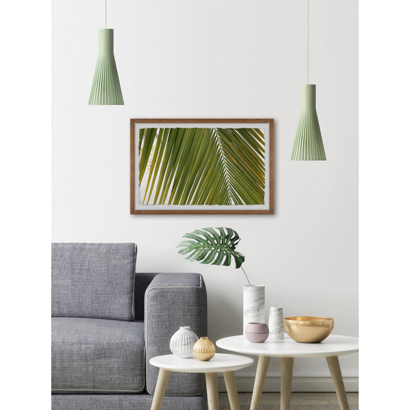 Withered Palm Leaf - Single Picture Frame Painting, 41 cm H x 61 cm W