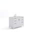 Elizabeth 48" Single Bathroom Vanity Set with Faucet-1367105394-1367105395