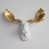 White/Gold