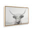 «Playful Highland Cow», reproduction sur toile-1514784567-1514784523