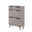 Baneen 8 Pair Shoe Storage Cabinet-321113048