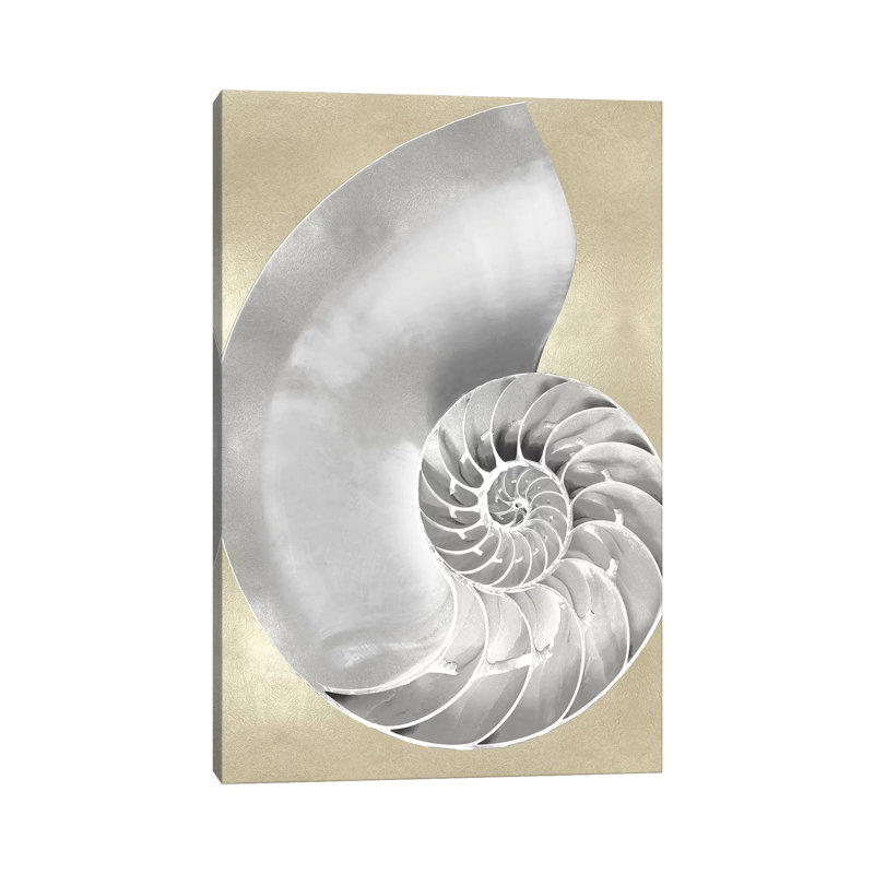 Silver Pearl Shell On Gold II by Caroline Kelly - Wrapped Canvas Print, 66.04 cm H x 45.72 cm W x 3.175 cm D