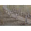 Secret Path Hand -Painted Acrylic Painting
