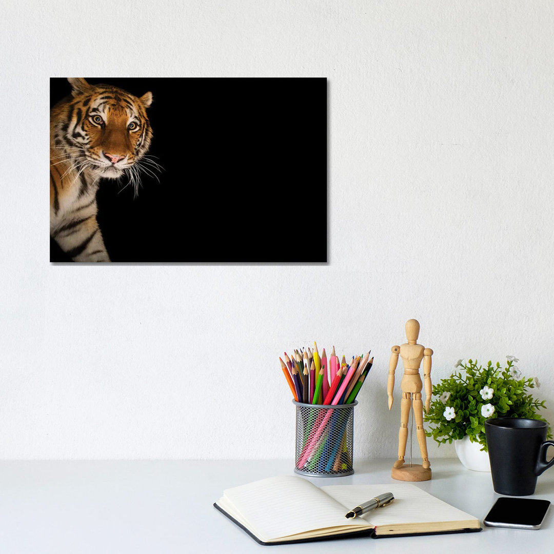 An Amur Tiger At The Cheyenne Mountain Zoo II von Joel Sartore - Gallery-Wrapped Canvas Giclée