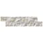 Panneau de mosaïque 6X24 Fossil Stone