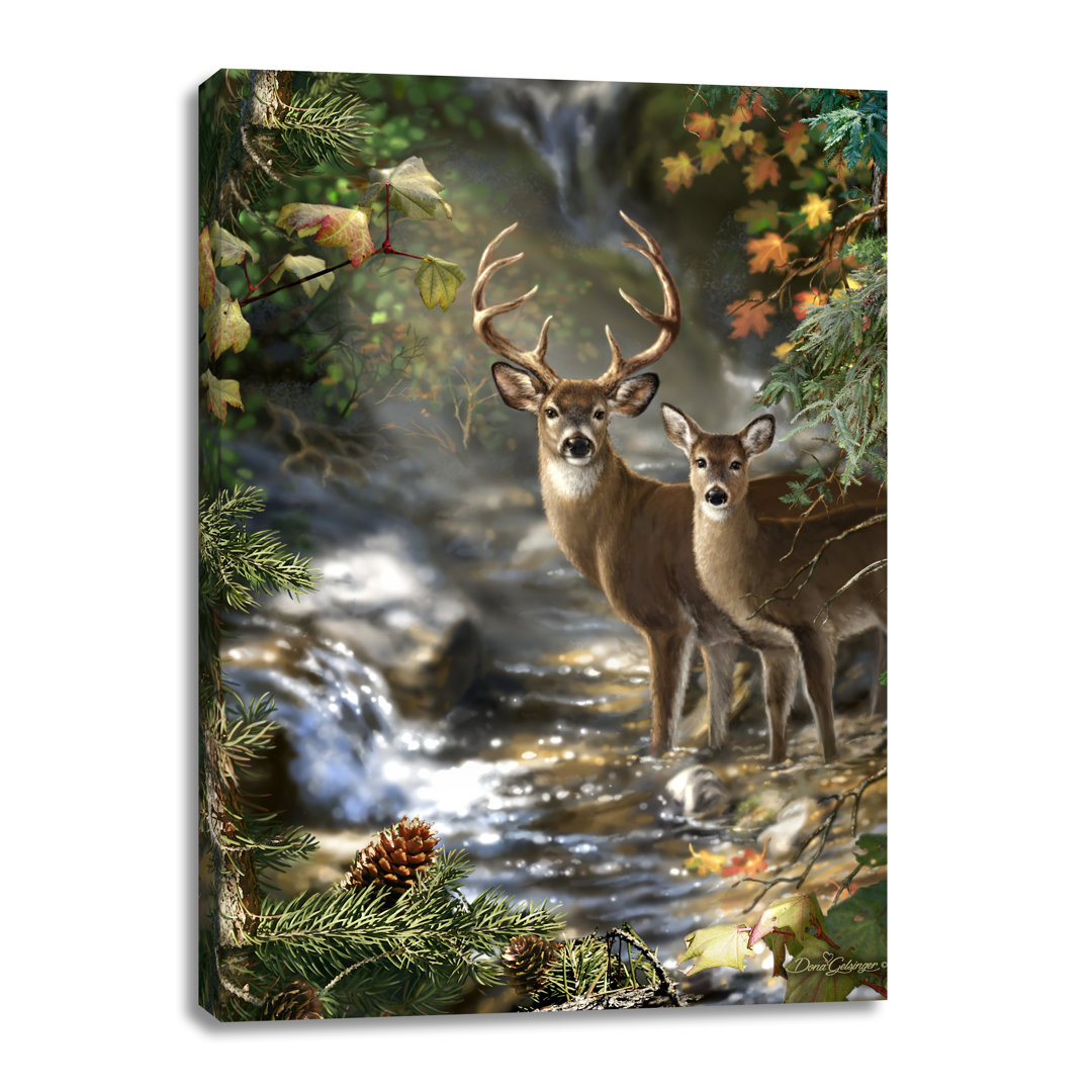 Deer Creek Wrapped Canvas Print Millwood Pines 