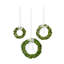 10 " Boxwood Wreath