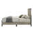 Gray Queen Bed W/LED