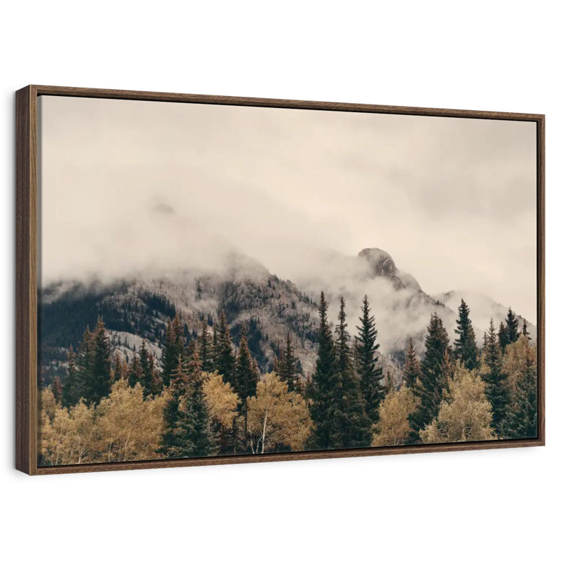 Foggy Banff National Park, Cadre flottant noyer, 43 po x 29 po