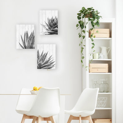 Carshalt " Agave " 3 - Pieces