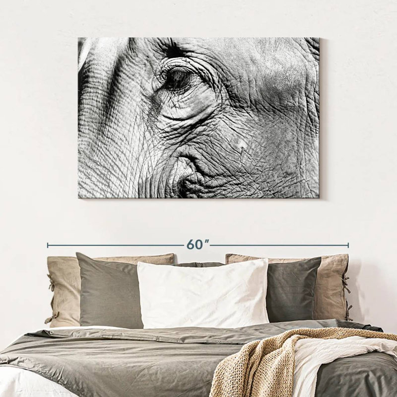 Brampt Elephant Close Up BW, 32" H x 48" W