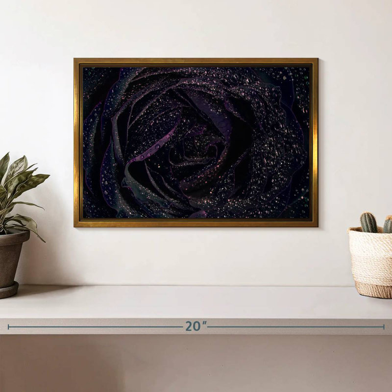 Rose noire scintillante, Cadre flottant doré, 13 po x 9 po