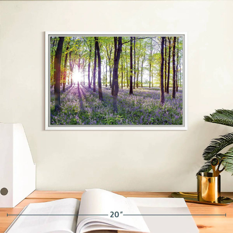 Bluebells and sunrise, Cadre flottant blanc, 13 po x 9 po