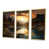 Gold Floater Framed