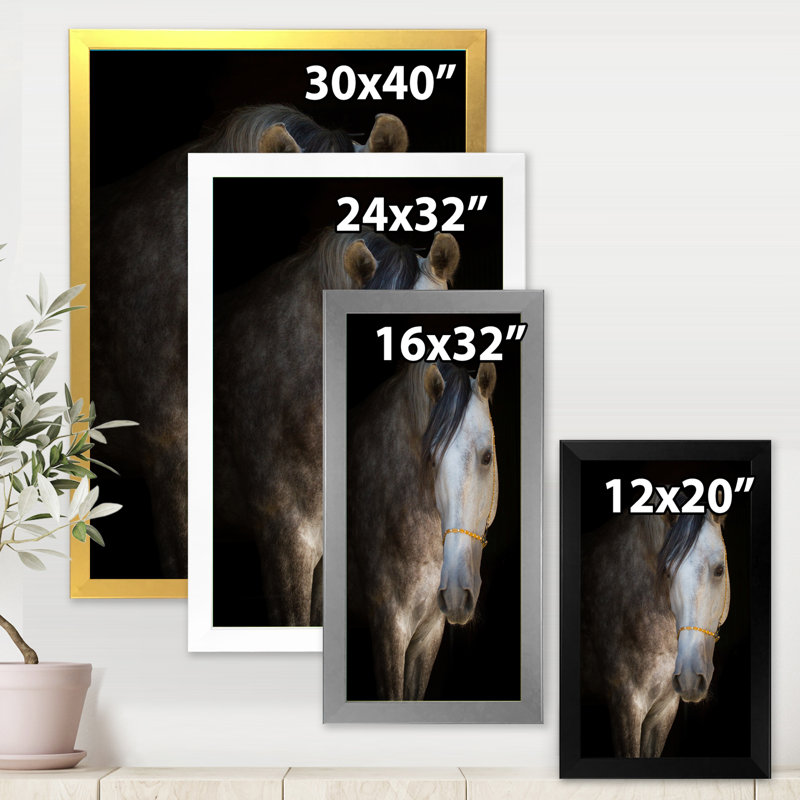 Portrait d'un cheval blanc - Photographie sur toile, Encadrement argenté, H 32 po x l 24 po x P 1 po
