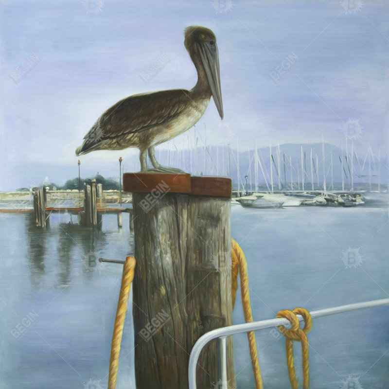 «Pelican» sur toile, H 36 po x l 36 po
