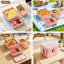 Food Storage Container-3493834