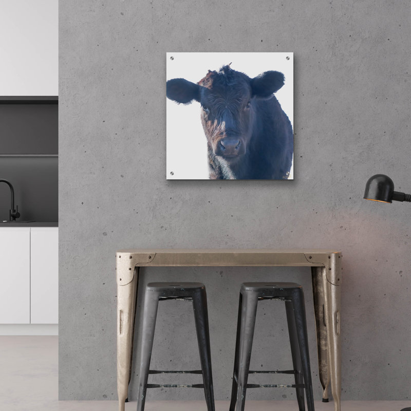 «Cow Closer Look» par Life BeautifuLEE, art mural en verre acrylique, 24 po x 24 po, H 24 po x l 24 po