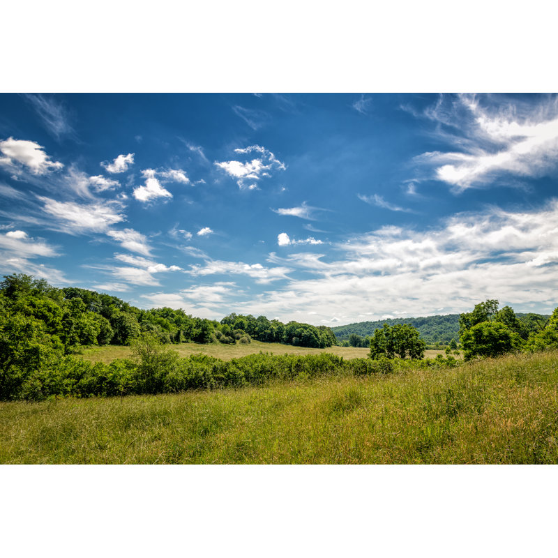 Sprawling Field On A Summer Morning In The Foothills Of Virginia by Lovingav - Wrapped Canvas Print, 30cm H x 46cm W 