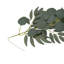 200cm Faux Eucalyptus Garland